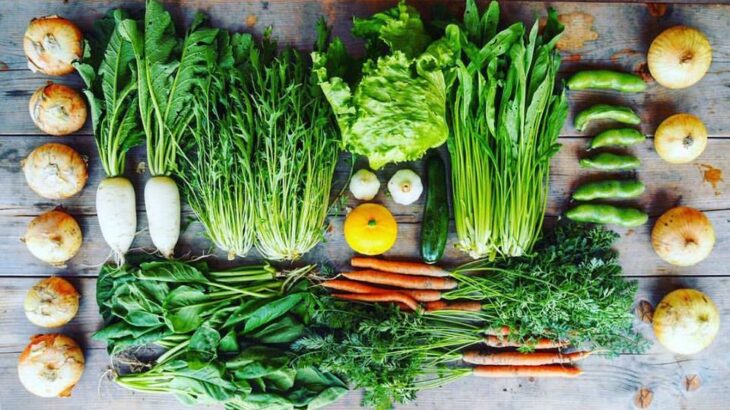 今日12月8日は『有機野菜の日』