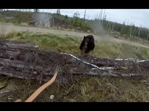 【閲覧注意】クマ狩りハンター、渾身の一発を外してしまい襲われるｗｗｗ