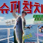 BTSメンバーの新曲　日本海を「東海」と歌う＝日本ユーザーは反発、韓国メディアは称賛