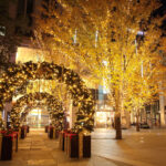 『仙台市のクリスマス』光のページェント