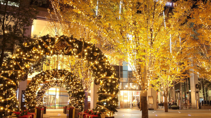 『仙台市のクリスマス』光のページェント