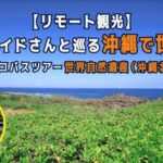 沖縄やんばる地域の魅力・絶景スポット