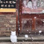 女児も驚いた、ネコの雪だるま 佐々木蔵之介さん実家の酒造会社が話題に！