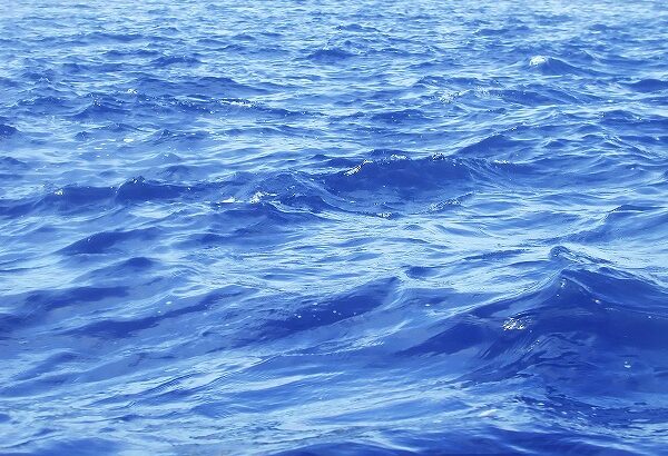 【朗報】津波に流されたトンガの57歳男性、27時間泳ぎ生還！！！