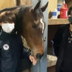 【人気ＹｏｕＴｕｂｅｒヒカル】所有馬ヒメノタヅナが姫路競馬で初勝利