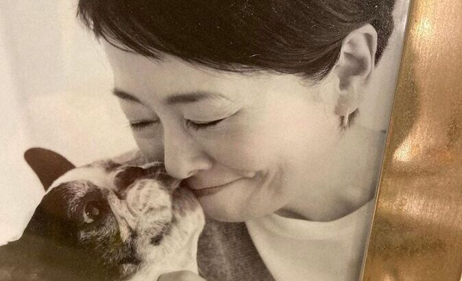 安藤優子　愛犬が天国へ　「宝物以上の、毎日の太陽…もう全部取られたような、どうにもならない気持ち」