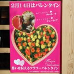 【画像】『新潟市のバレンタインデー』