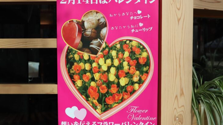 【画像】『新潟市のバレンタインデー』