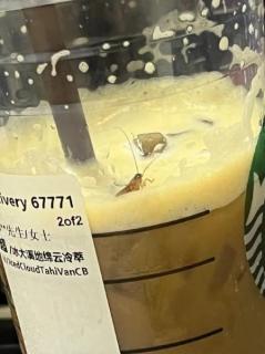 【中国】スターバックスの飲料から生きたゴキブリ「あり得ない」