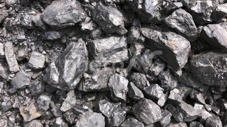 【悲報】ＥＵのロシア産石炭禁輸案、ドイツの要請で8月半ばに延期www