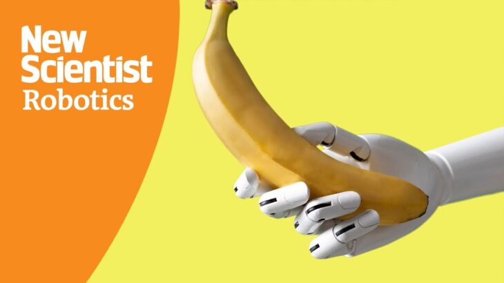 【朗報】東大研究チーム、ロボットにバナナの皮をむかせることに成功ｗｗｗ