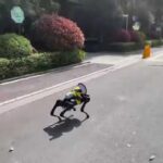 【動画】ロックダウン中の上海、ロボット犬がパトロール