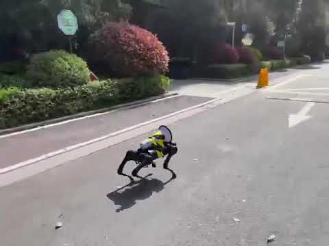 【動画】ロックダウン中の上海、ロボット犬がパトロール