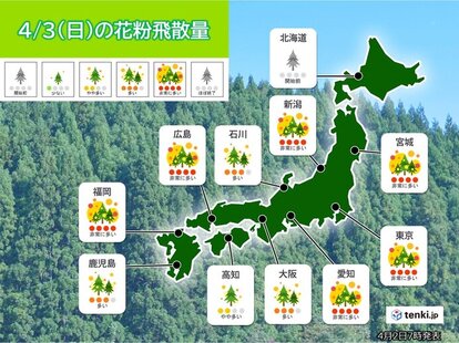 【3日(日)の花粉情報】九州はヒノキがピーク　関東はスギもヒノキも注意！ 