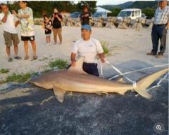 【格闘1時間】海岸で2.5メートルのサメ釣って住民らで食べた