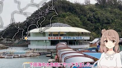 天然の入り江でイルカが泳ぐ「下田海中水族館」