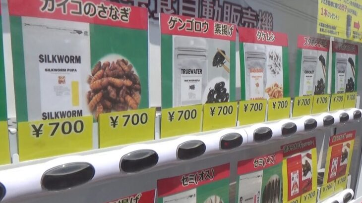 【話題】意外と人気だったりして⁉昆虫食の自販機ってどう思いますか？