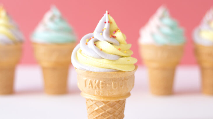 【画像】ソフトクリームのコーンっていろいろあるけどさ、どれが好き？