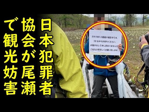 【NHK】尾瀬国立公園足止めの件で謝罪ｗｗｗｗｗｗｗｗｗ