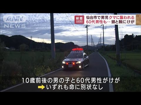 【熊出没】「熊に襲われている人がいる」 10歳前後の男児と60代男性がけがー仙台市青葉区