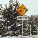 （笑）「赤いきつねと緑のたぬき」北海道の高速道路の標識