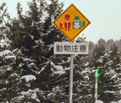 （笑）「赤いきつねと緑のたぬき」北海道の高速道路の標識