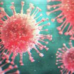 『中国で新型ニパウイルス』感染者35人確認