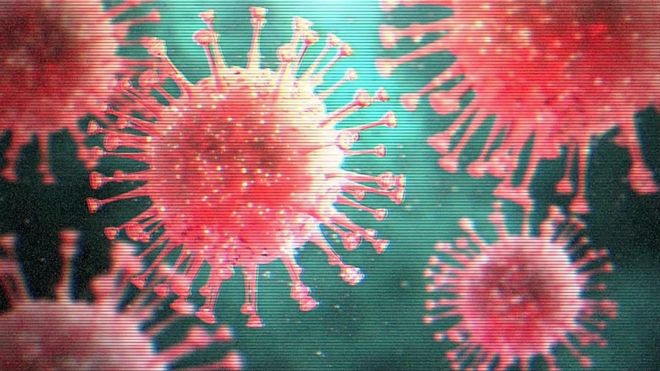 『中国で新型ニパウイルス』感染者35人確認