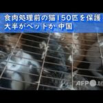 【中国】150匹の猫、食肉処理前に保護される！…大半がペットか