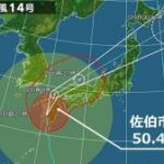 台風14号 大分県で最大瞬間風速50メートル超え