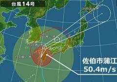 台風14号 大分県で最大瞬間風速50メートル超え