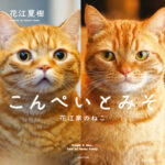 人気声優・花江夏樹が撮影を手掛けた初の猫写真集『こんぺいとみそ』が11月17日発売！