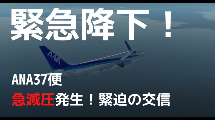 【速報】羽田行きANA機が緊急事態！？与圧装置トラブルで伊丹空港に目的地変更