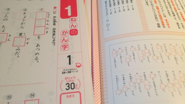 【画像】小学生「漢字テストめちゃくちゃ自信あるｗｗｗｗ」先生「ﾁｯ、小童が調子乗るなよ…」