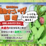 【悲報】NHKも香川照之クビか…出演の「昆虫すごいぜ！」放送予定なし