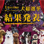 好きな犬種ランキングの結果発表、1位は海外でも人気のあの日本犬 