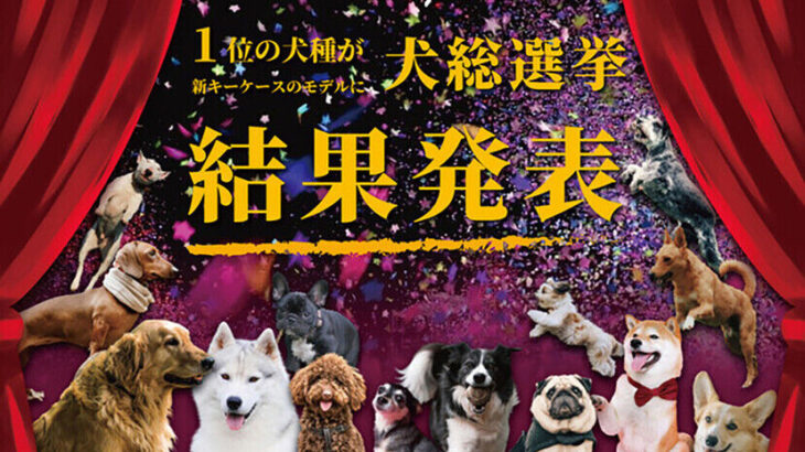 好きな犬種ランキングの結果発表、1位は海外でも人気のあの日本犬 