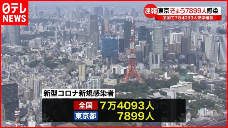 【注目】どうかな・・・昨日（11/11）の気になる東京都の新規感染者数は⁉