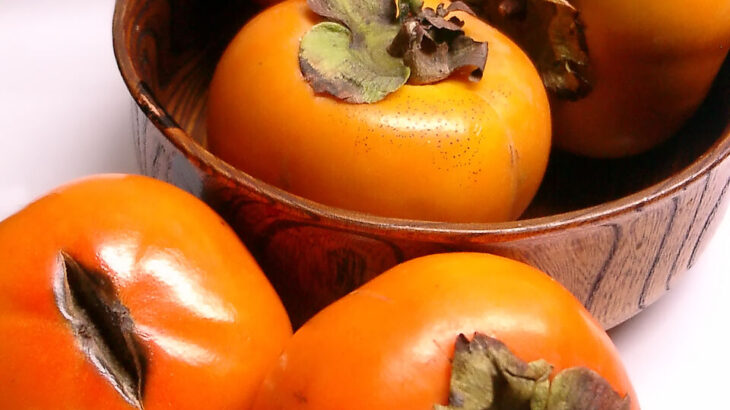 【画像】宮城県で大量発生してる”奇形の柿”がち〇こｗｗｗｗｗｗｗｗｗ