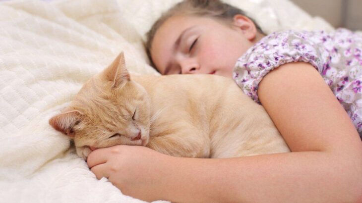 愛猫が「ねえねえ、ちょっと起きてお布団に入れて〜」と、飼い主のベッドにもぐりこんで来た！