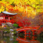 京の都の紅葉観光「朝が格別」、混雑を避け「平安貴族のように」