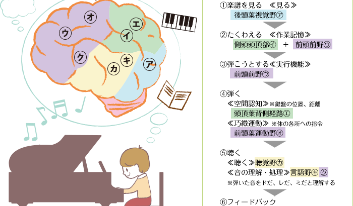 ピアノを弾くと脳の処理能力がアップし、気分が晴れることが研究で示される。