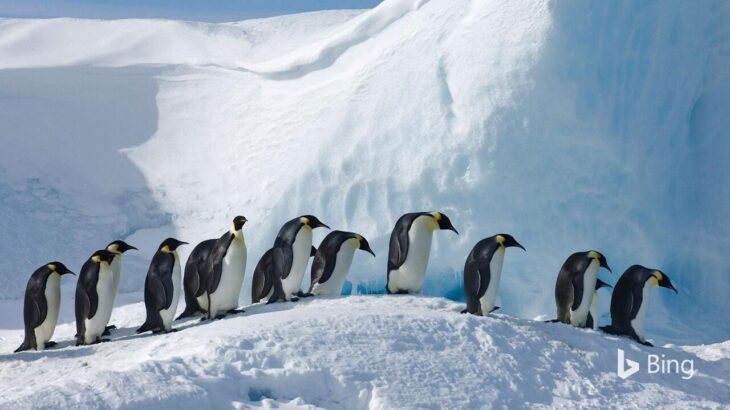 今日12月14日は『南極の日』