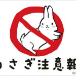ウサギはめちゃくちゃかわいいけれど、安易にお迎えしないでほしい！