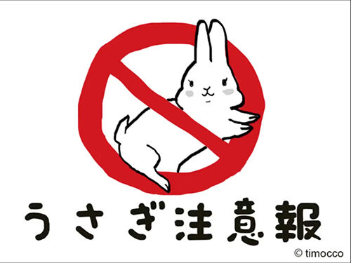 ウサギはめちゃくちゃかわいいけれど、安易にお迎えしないでほしい！