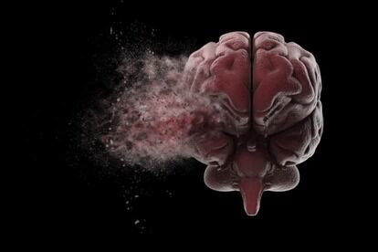 人間の脳はやわらかい。発泡スチロールの10倍も簡単に壊れてしまう 
