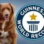 30歳の犬が史上最高齢の犬としてギネス記録をぬりかえた！