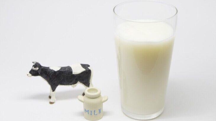 牛乳より「カルシウム」が豊富な食材6選 とは？