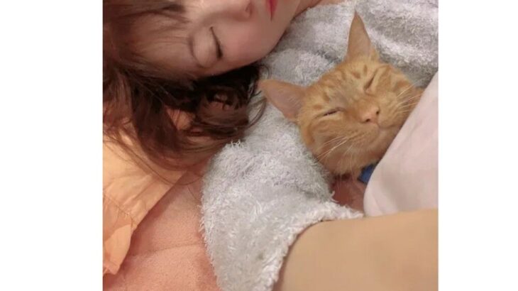 【芸能】中川翔子「神さまなんていない　毎日泣いています」　溺愛していた愛猫・メポが天国へ旅立ったことを報告