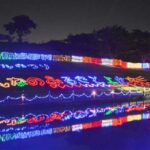 熊本・合志市で上庄ホタル祭り！竹迫城跡を照らすイルミネーション・27日まで点灯